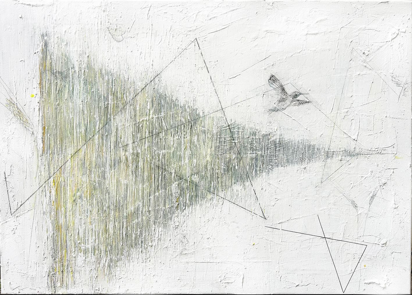 © Ivy Kollmann
