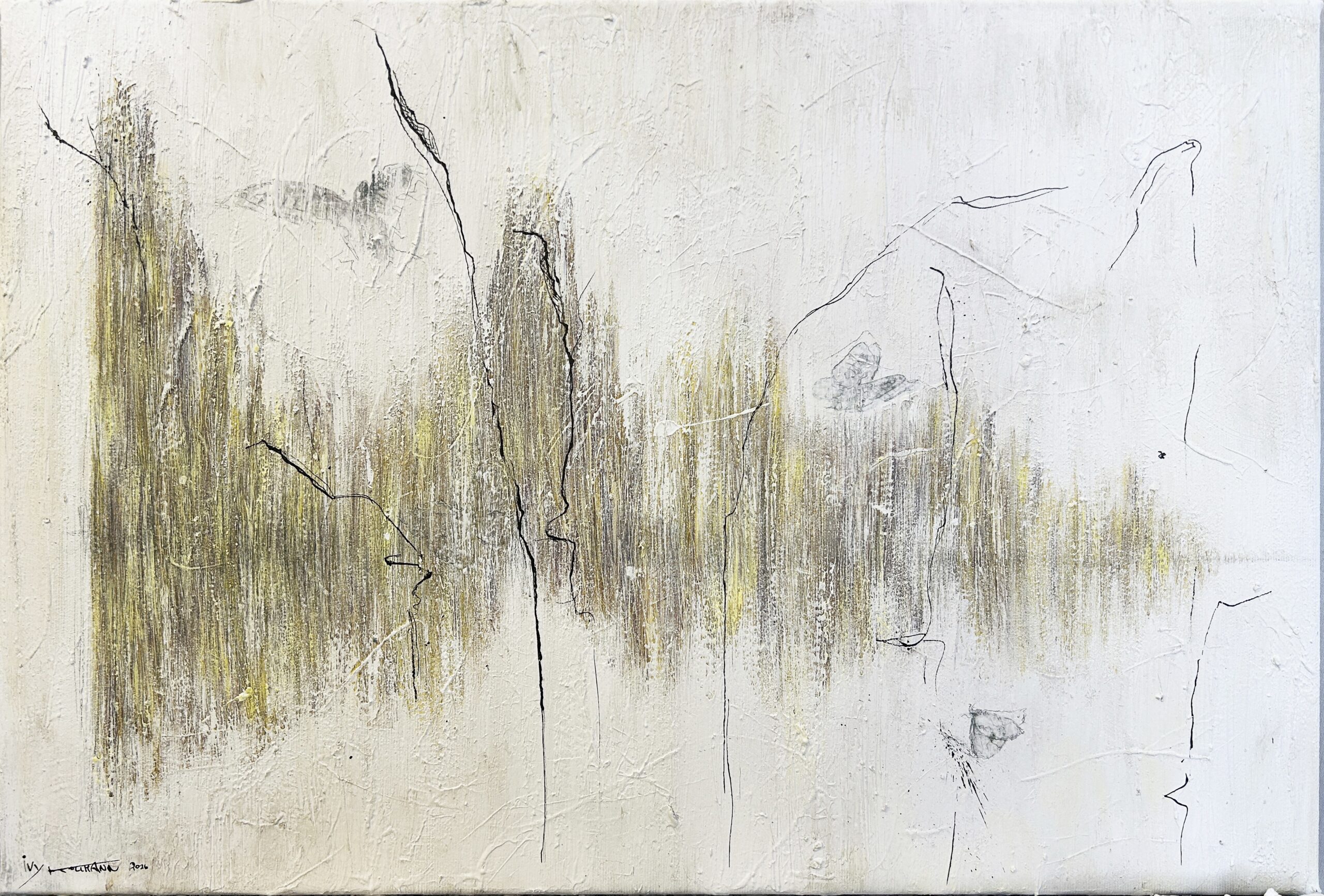 © Ivy Kollmann